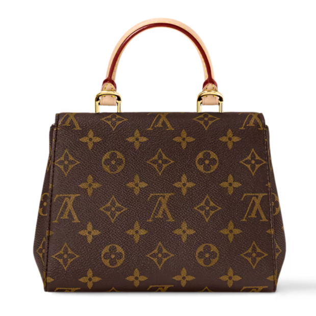Louis Vuitton Cluny Mini Handbag - Brown