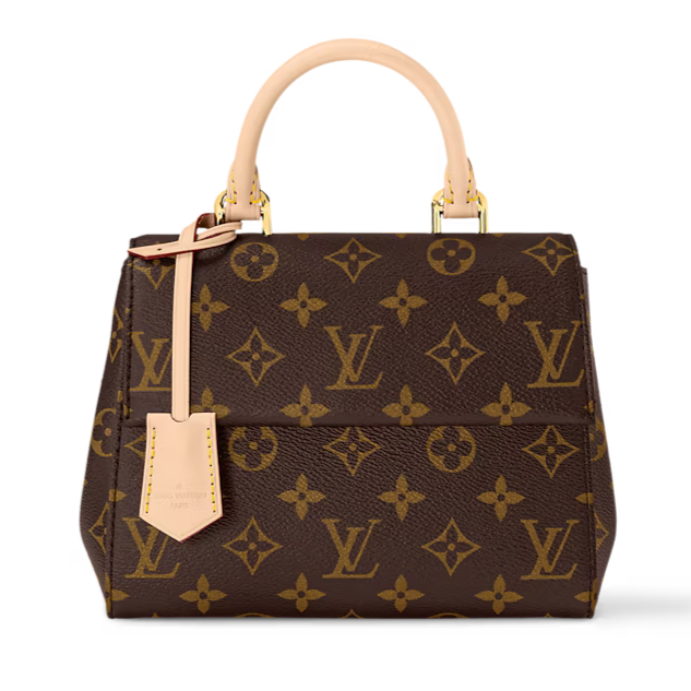 Louis Vuitton Cluny Mini Handbag - Brown